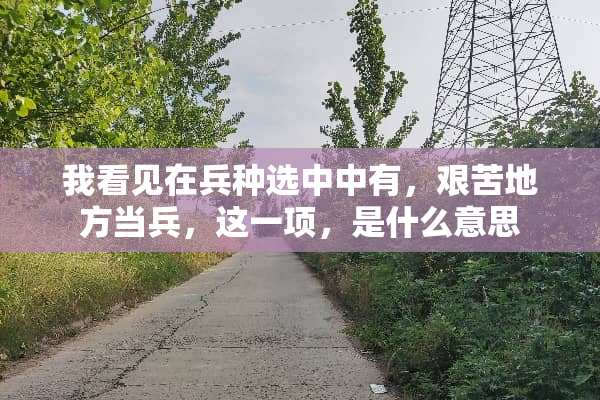 我看见在兵种选中中有，艰苦地方当兵，这一项，是什么意思