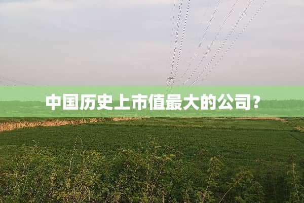 中国历史上市值最大的公司？