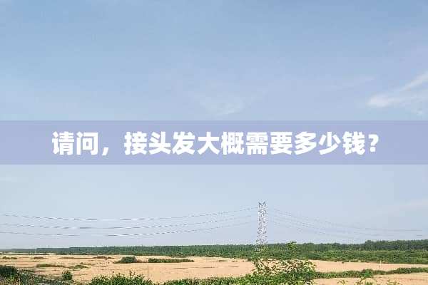 请问，接头发大概需要多少钱？
