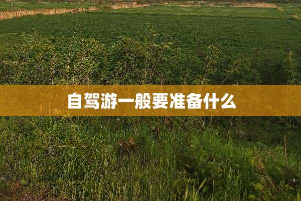 自驾游一般要准备什么