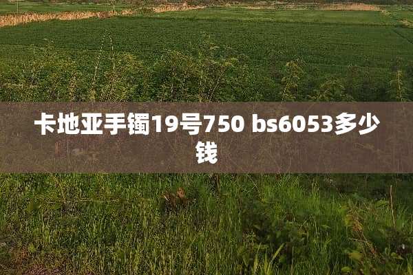 卡地亚手镯19号750 bs6053多少钱