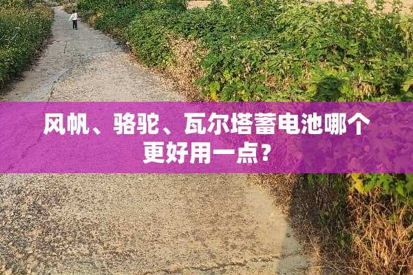 风帆、骆驼、瓦尔塔蓄电池哪个更好用一点？