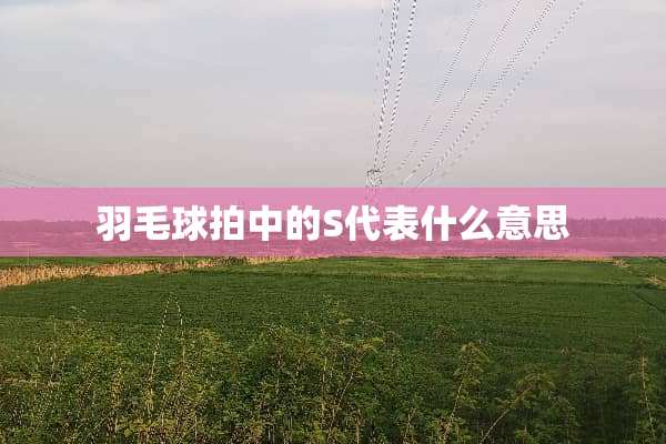 羽毛球拍中的S代表什么意思