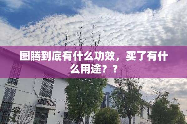 图腾到底有什么功效，买了有什么用途？？