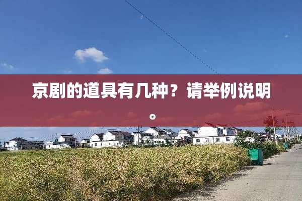 京剧的道具有几种？请举例说明。