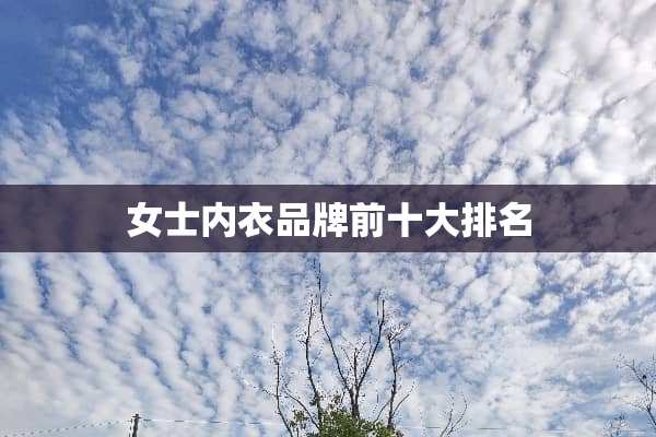 女士**品牌前十大排名