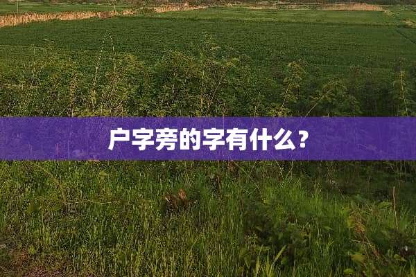 户字旁的字有什么？