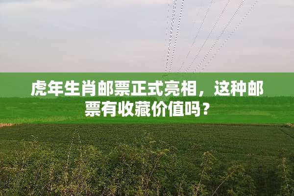 虎年生肖邮票正式亮相，这种邮票有收藏价值吗？