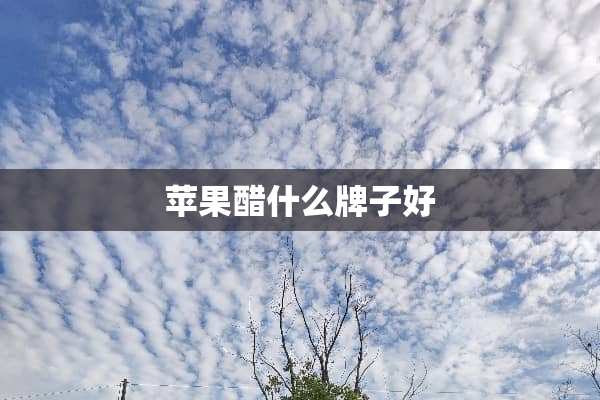 苹果醋什么牌子好