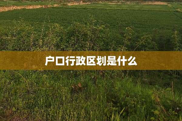 户口行政区划是什么