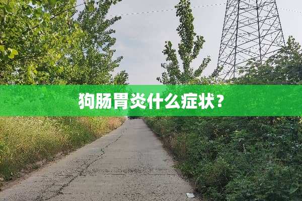 狗肠胃炎什么症状？