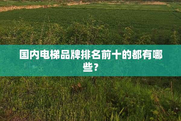 国内电梯品牌排名前十的都有哪些？