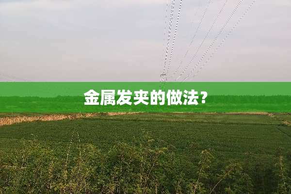 金属发夹的做法？
