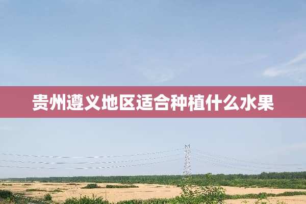 贵州遵义地区适合种植什么水果