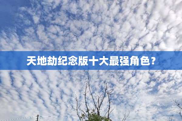 天地劫纪念版十大最强角色？