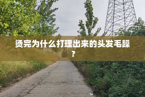 烫完为什么打理出来的头发毛躁？