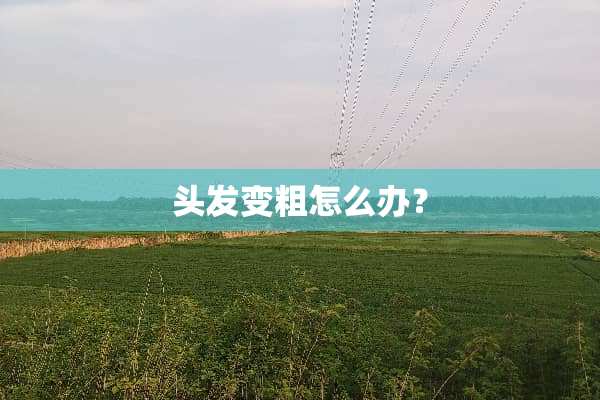 头发变粗怎么办？