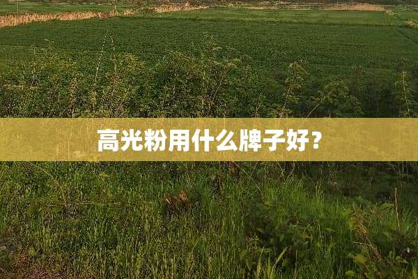 高光粉用什么牌子好？