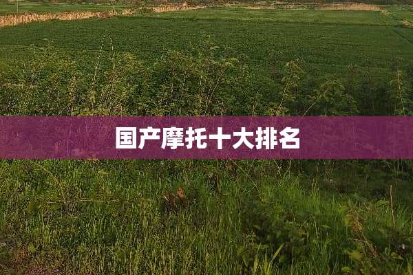 国产摩托十大排名