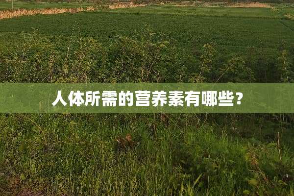 人体所需的营养素有哪些？