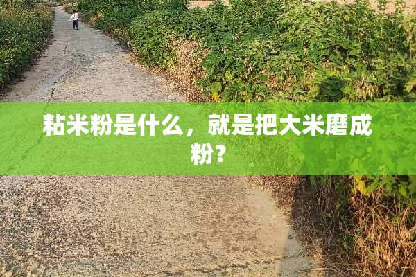 粘米粉是什么，就是把大米磨成粉？