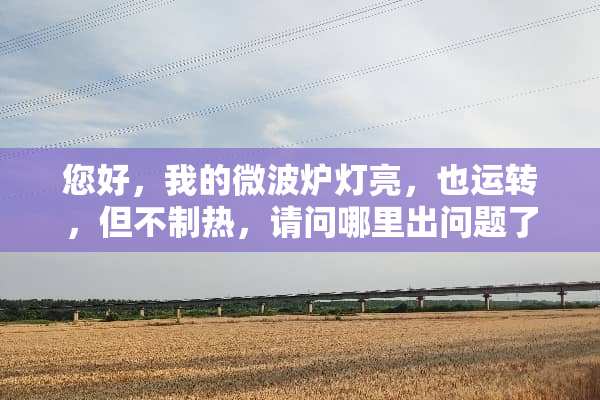 您好，我的微波炉灯亮，也运转，但不制热，请问哪里出问题了？谢谢！