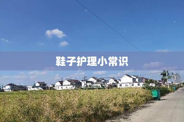 鞋子护理小常识