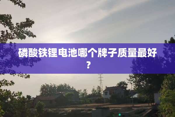 磷酸铁锂电池哪个牌子质量最好？