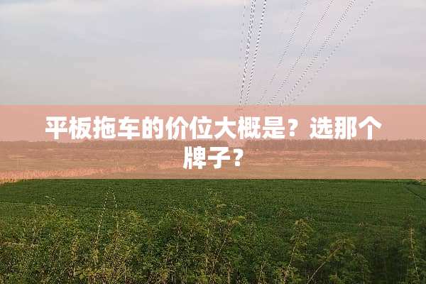 平板拖车的价位大概是？选那个牌子？