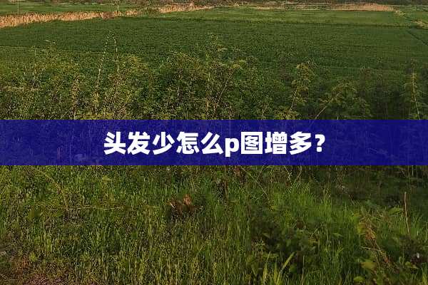 头发少怎么p图增多？