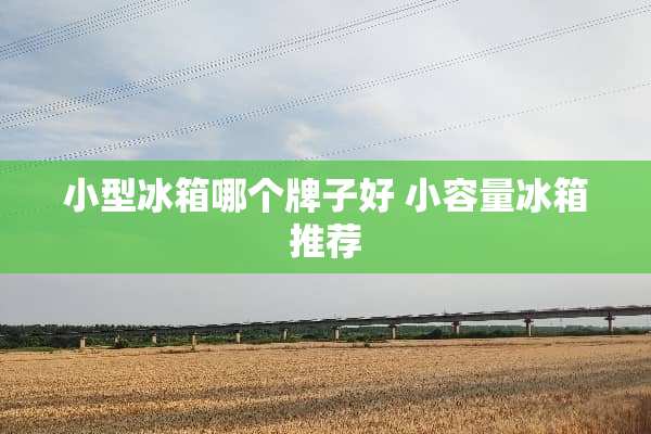 小型冰箱哪个牌子好 小容量冰箱推荐