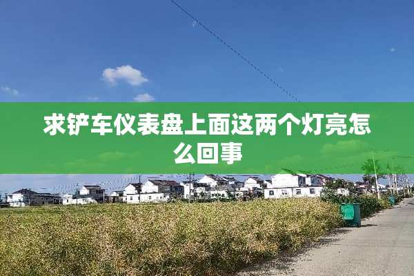求铲车仪表盘上面这两个灯亮怎么回事
