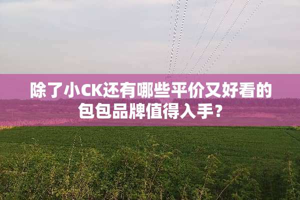 除了小CK还有哪些平价又好看的包包品牌值得入手？