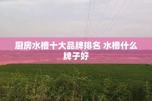 厨房水槽十大品牌排名 水槽什么牌子好