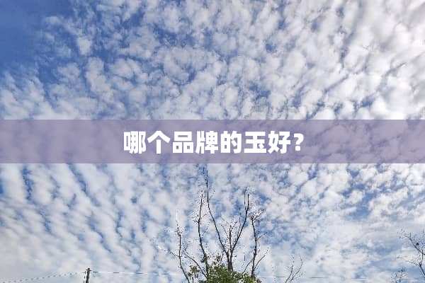 哪个品牌的玉好？