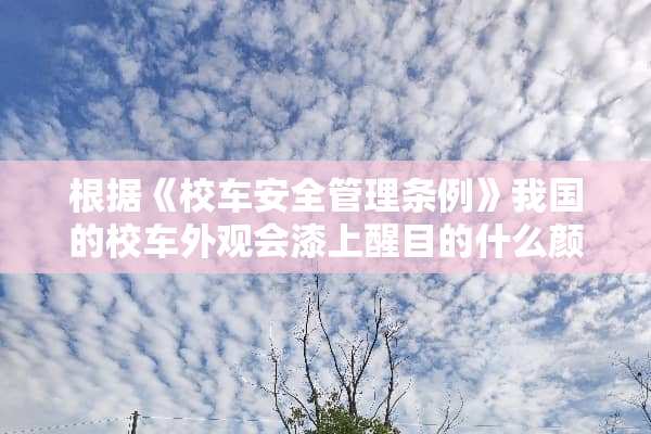 根据《校车安全管理条例》我国的校车外观会漆上醒目的什么颜色
