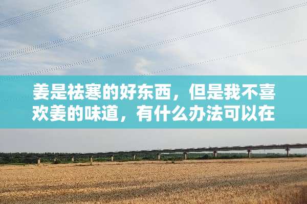 姜是祛寒的好东西，但是我不喜欢姜的味道，有什么办法可以在做菜时去掉味