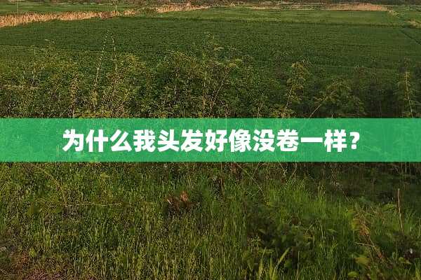 为什么我头发好像没卷一样？