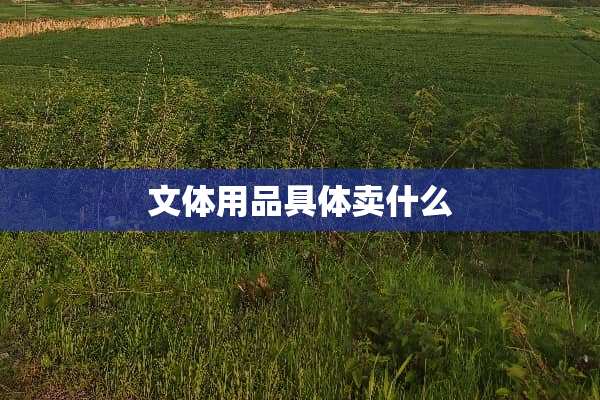 文体用品具体卖什么