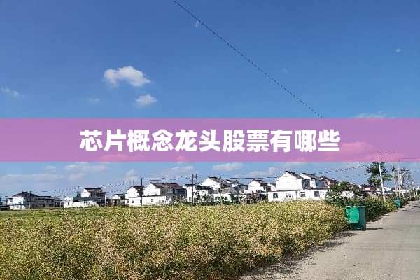 芯片概念龙头股票有哪些