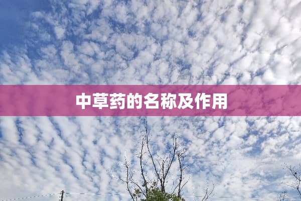 中草药的名称及作用