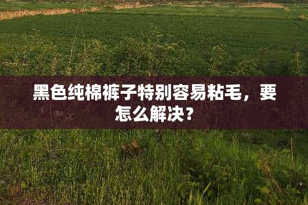 黑色纯棉裤子特别容易粘毛，要怎么解决？