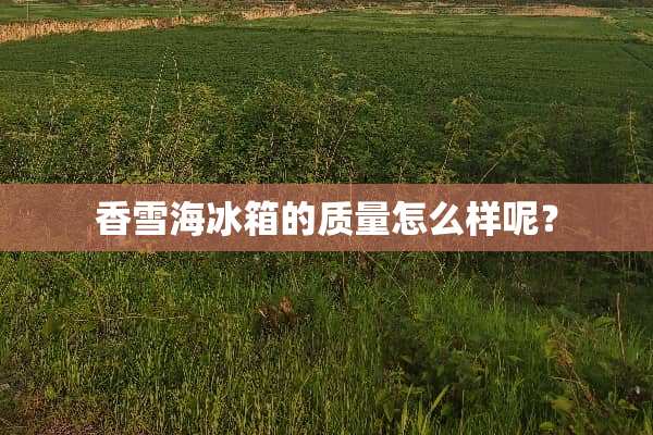 香雪海冰箱的质量怎么样呢？