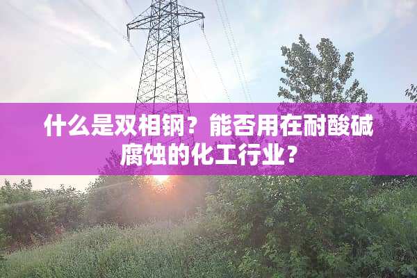 什么是双相钢？能否用在耐酸碱腐蚀的化工行业？