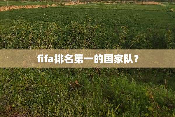 fifa排名第一的国家队？