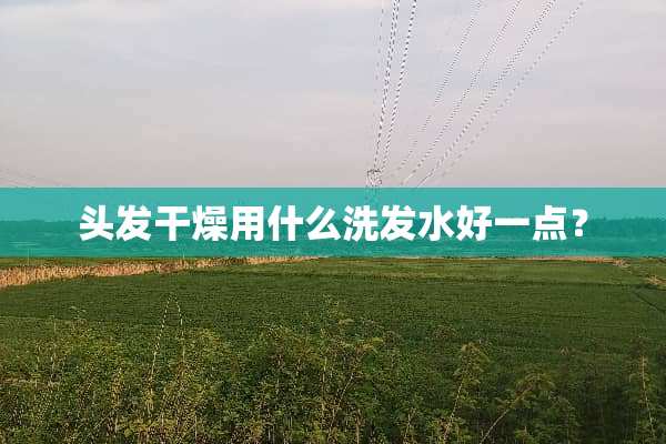 头发干燥用什么洗发水好一点？