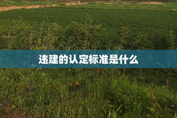 违建的认定标准是什么