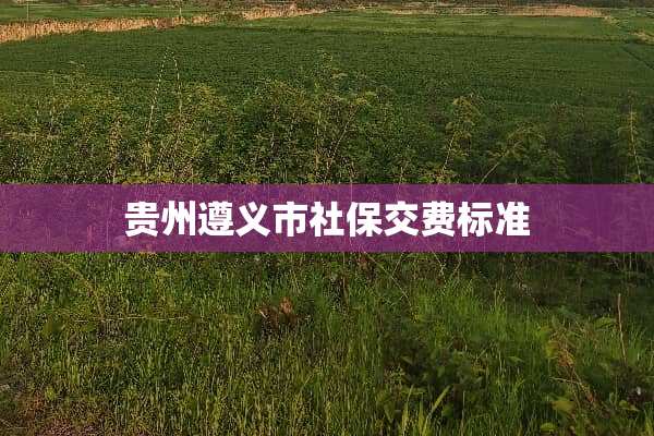 贵州遵义市社保交费标准