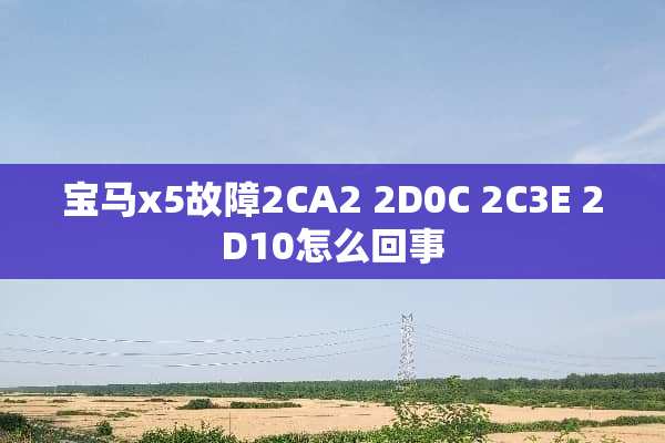 宝马x5故障2CA2 2D0C 2C3E 2D10怎么回事