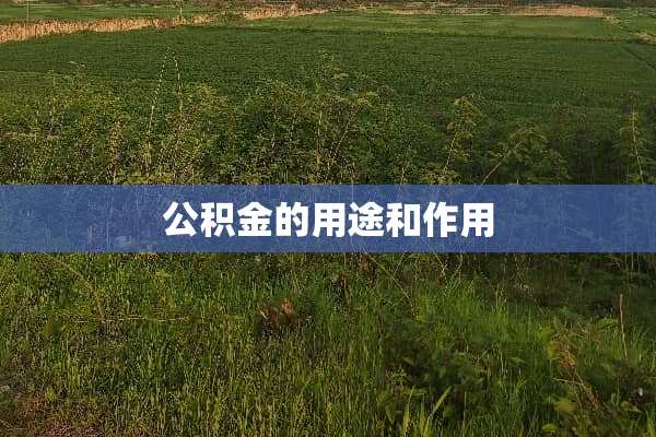公积金的用途和作用